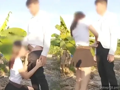 Pertanian sayuran di kebun pisang