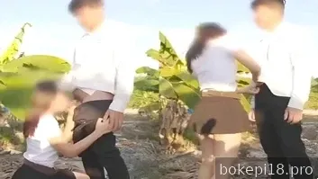 Pertanian sayuran di kebun pisang